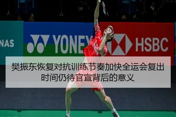 樊振东恢复对抗训练节奏加快全运会复出时间仍待官宣背后的意义